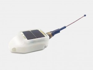 I-Global Tracking HQBG1206 ene-ACC sensor