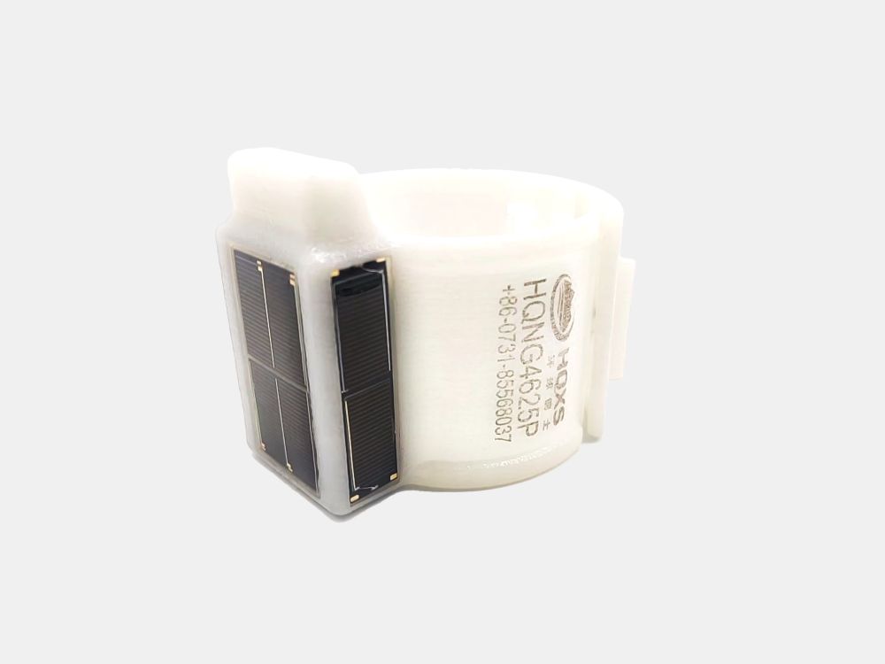 Pet rabbits need space and freedom to play and exercise • Earth.com