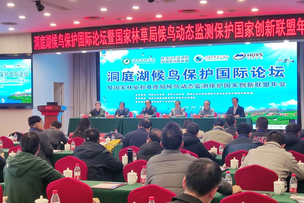 Srečanje, ki ga je organiziralo podjetje februarja 2023 (Mednarodni festival opazovanja ptic Yueyang – srečanje mednarodnega foruma)